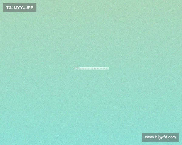 LNG战队商业舵手：执掌俱乐部价值增长新篇章